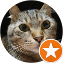 hama hana profile picture