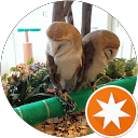 Hiro T profile picture