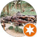 食べ歩キング profile picture