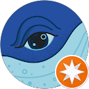 くじら profile picture