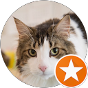 栗原直樹 profile picture