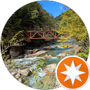 d&y e profile picture