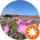 Tripper profile picture