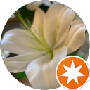 ハッピーとカール profile picture