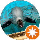 junichi 09 profile picture