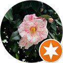 気づいたら太ってた profile picture