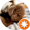 キラ profile picture