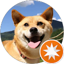 Kentaro Aritake profile picture