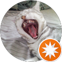 AmesyoNeko14 profile picture