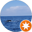 時哉影宮 profile picture
