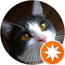 P- tune profile picture