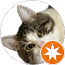 セキキンイ profile picture