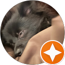 わんわんこ profile picture