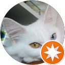 。 Mame profile picture