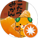 こたつみかん profile picture