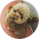 山本龍弥 profile picture