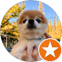パンプキン profile picture